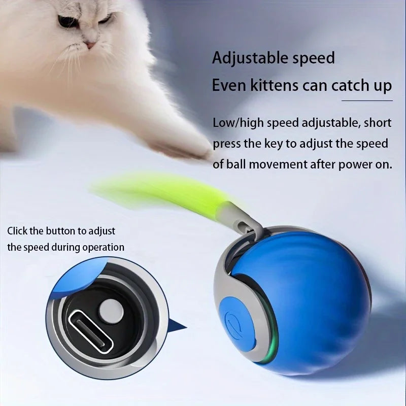 Smart Interactive Pet Toy Ball for Cats & Dogs, USB Rechargeable Automatic Rolling & Bouncing Ball