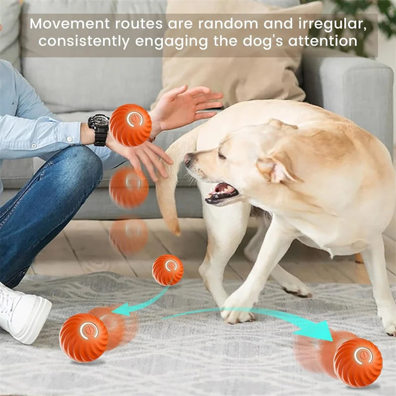 USB Rechargeable Interactive Pet Ball, Automatic Moving Toy for Puppies, Dogs, and Cats