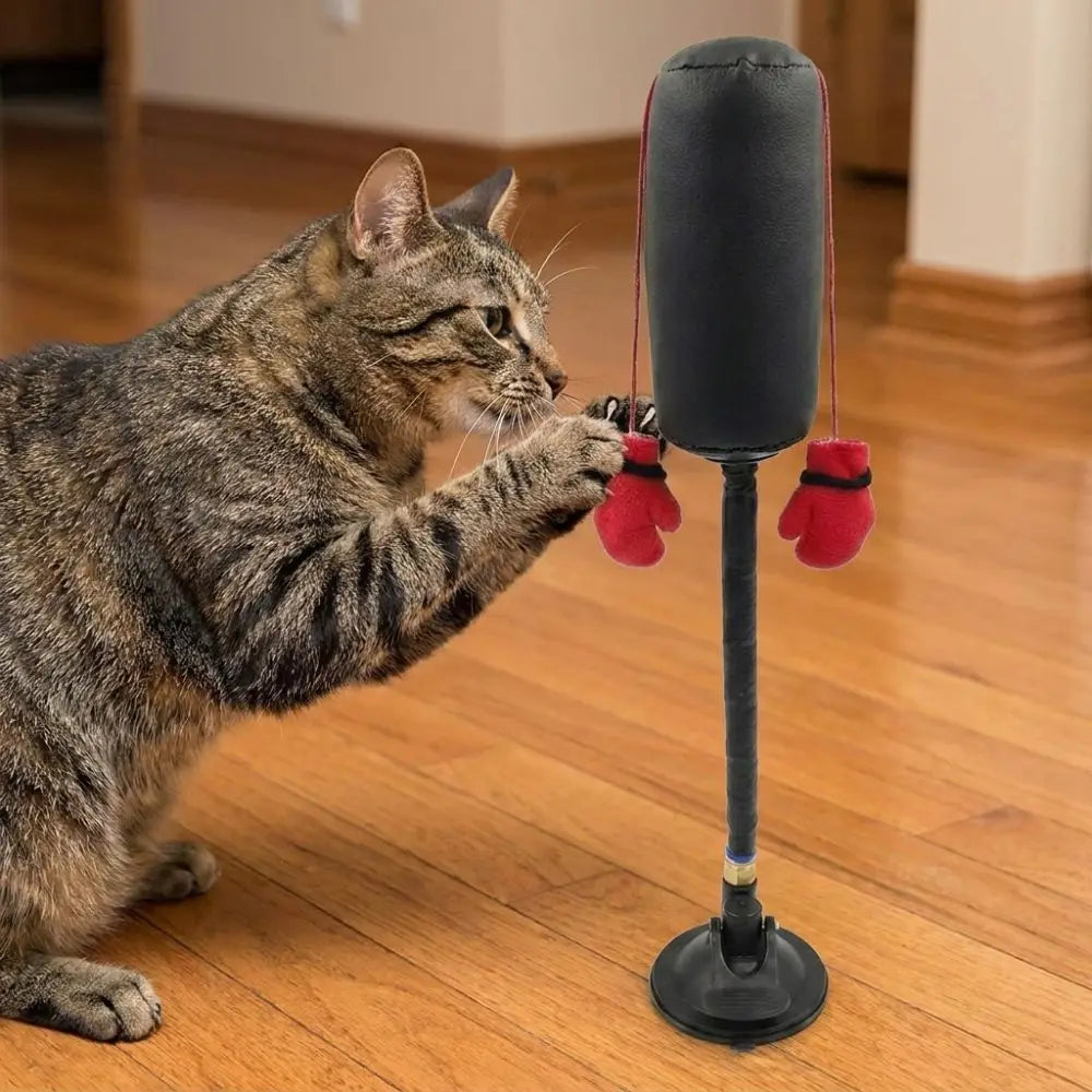 Interactive Cat Boxing Toy with Suction Cup