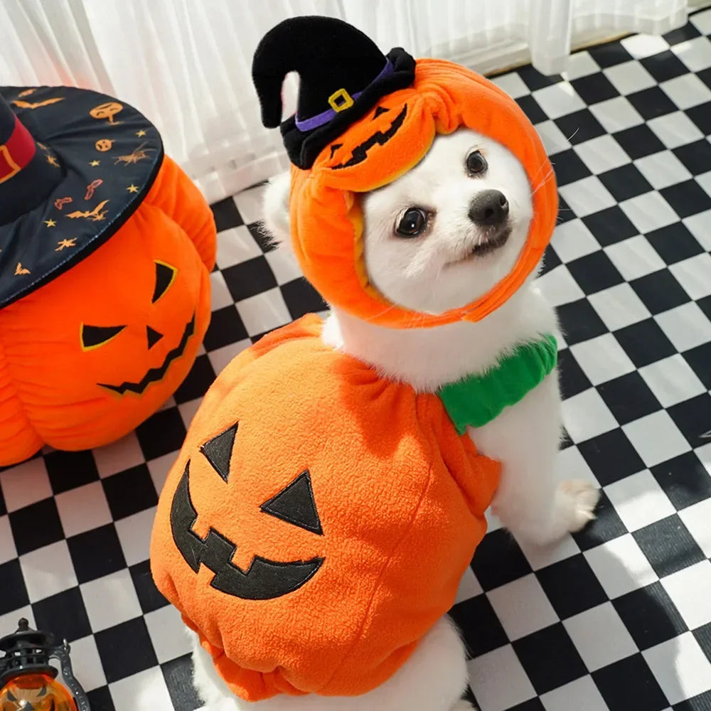 🎃 Halloween Dog Costume – Funny Pumpkin Lantern Outfit with Hat | Cute Two-Legged Pet Jacket for Dogs & Cats