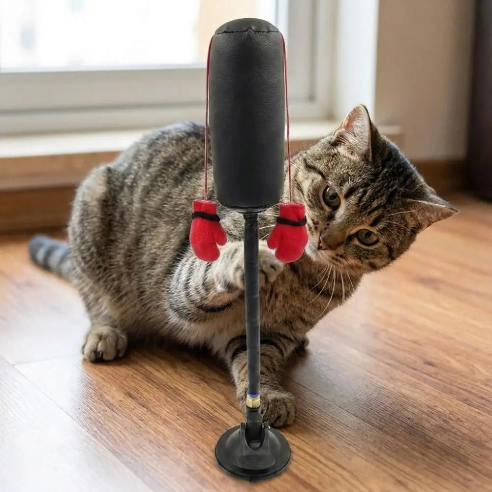Interactive Cat Boxing Toy with Suction Cup