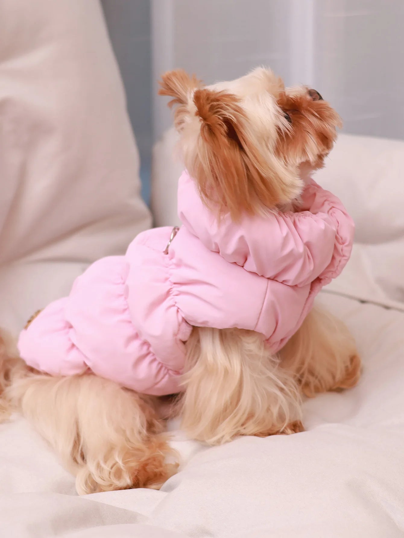 Warm Pet Dog Jacket – 3-Layer Thick Coat for Small to Medium Dogs, Autumn/Winter Outerwear