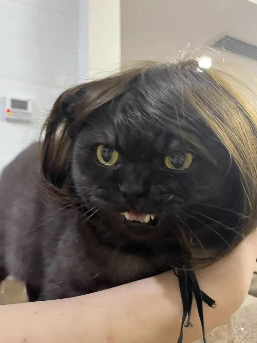 Pet Wig – Curly & Straight Hair Costume Accessory for Dogs & Cats, DIY Trimmed