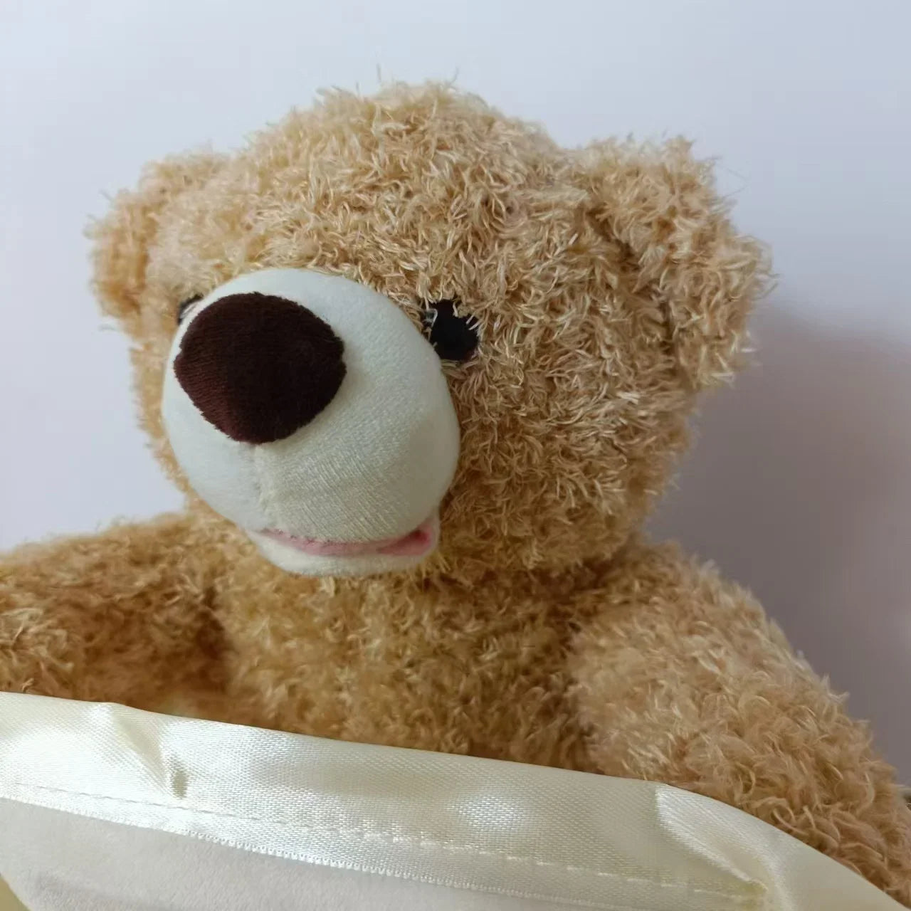 Shy Teddy Bear Electric Plush Toy – Peekaboo Talking & Moving Stuffed Animal for Kids, Baby Entertainment Gift
