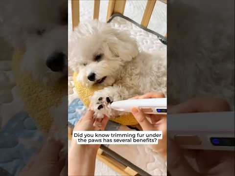 Dog Paw Trimmer with LED Light – Fully Waterproof Pet Grooming Clipper
